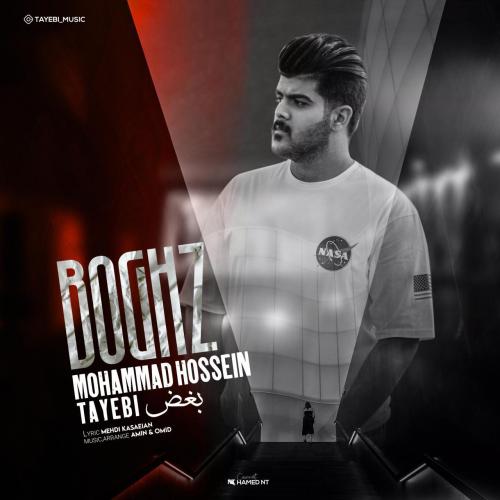Mohammad Hossein Tayebi – Boghz